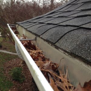 Warped roof that needs replacing